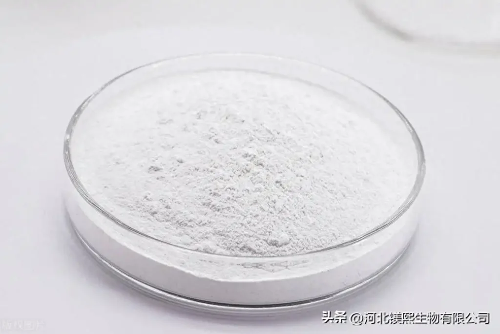 Process for preparing magnesium carbonate whiskers by pyrolysis