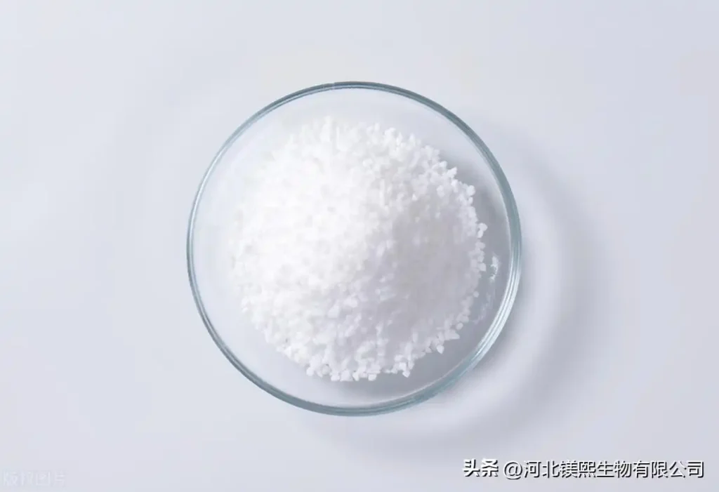 Problems and prospects of magnesium carbonate whisker preparation technology
