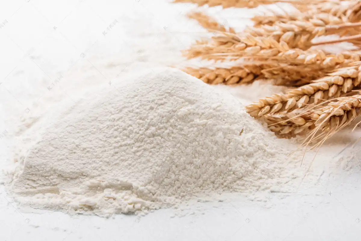 Application of magnesium carbonate in food additives Magnesia Supplier