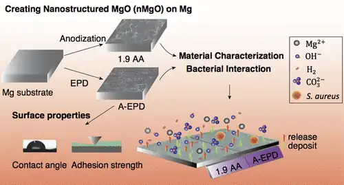 Antibacterial properties of MgO nanostructures on magnesium matrix
