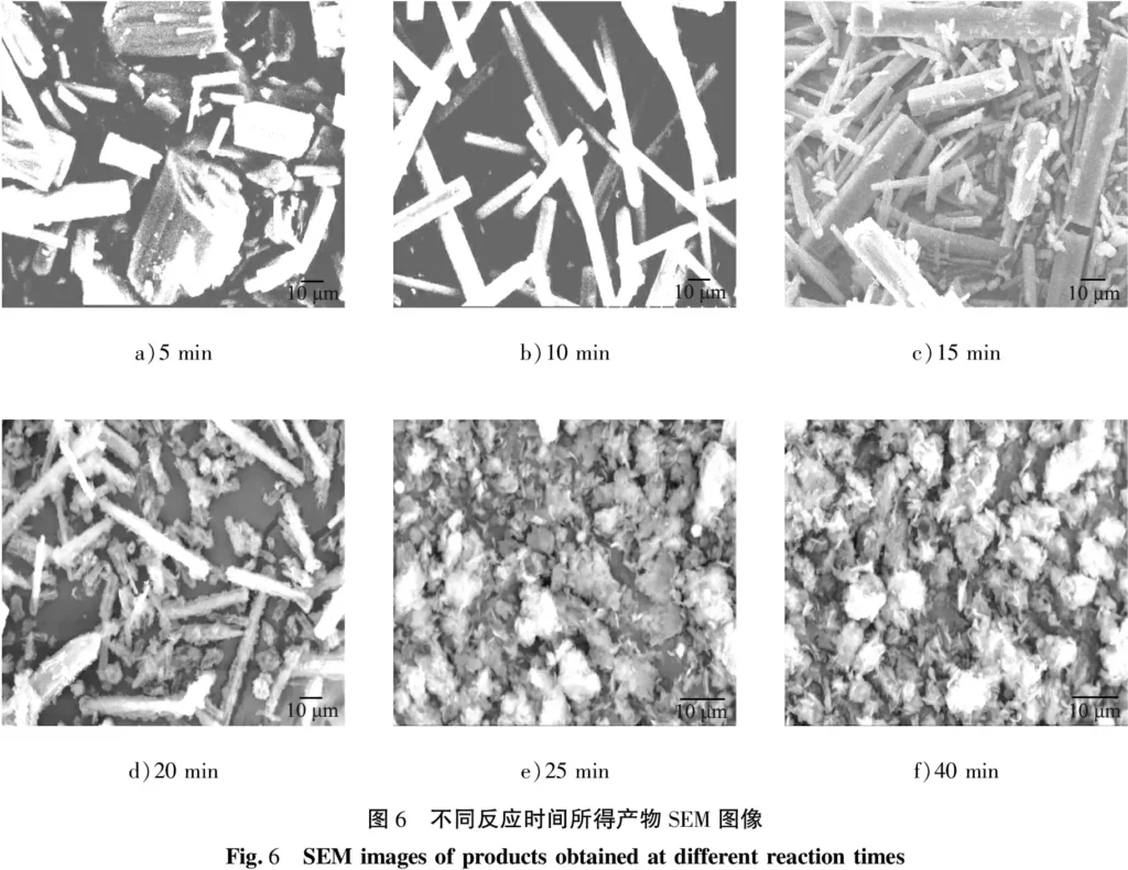 Figure 6 shows the SEM images of the products obtained at different reaction times