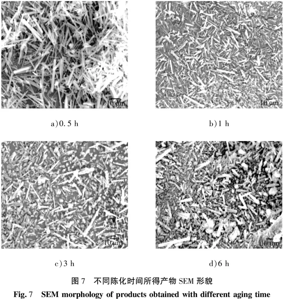 SEM morphology of products obtained with aging time