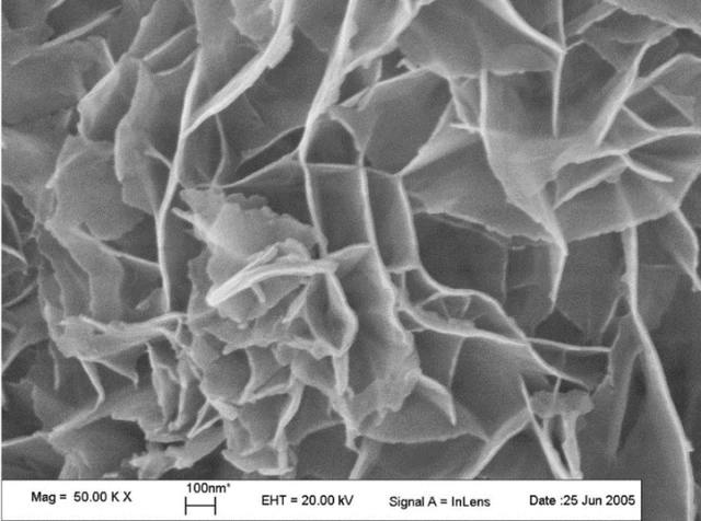 Flake magnesium oxide powder SEM