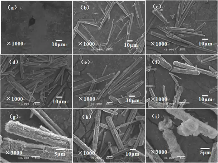 Preparation and morphological control of magnesium carbonate and magnesium oxide whiskers
