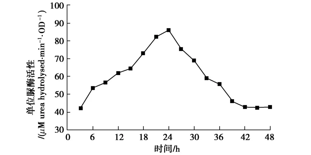 Fig. 2 Curve of unit urease activity