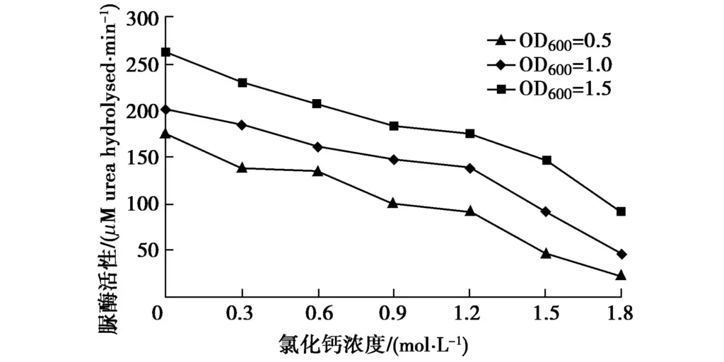 Fig. 6 Effect of Ca2+ concentration on urease activity