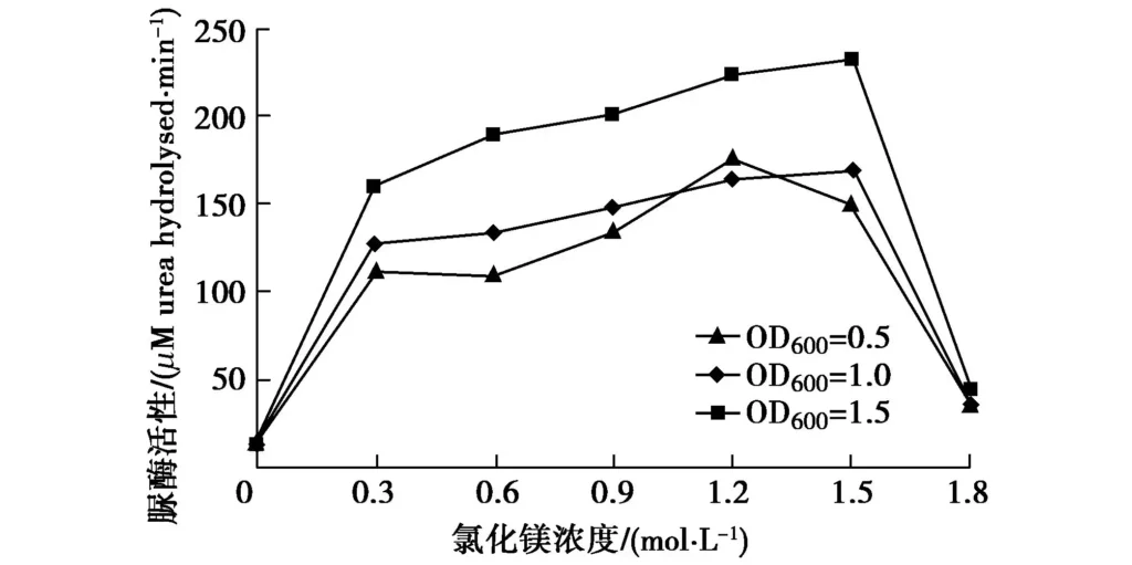 Fig. 7 Effect of Mg2+ concentration on urease activity