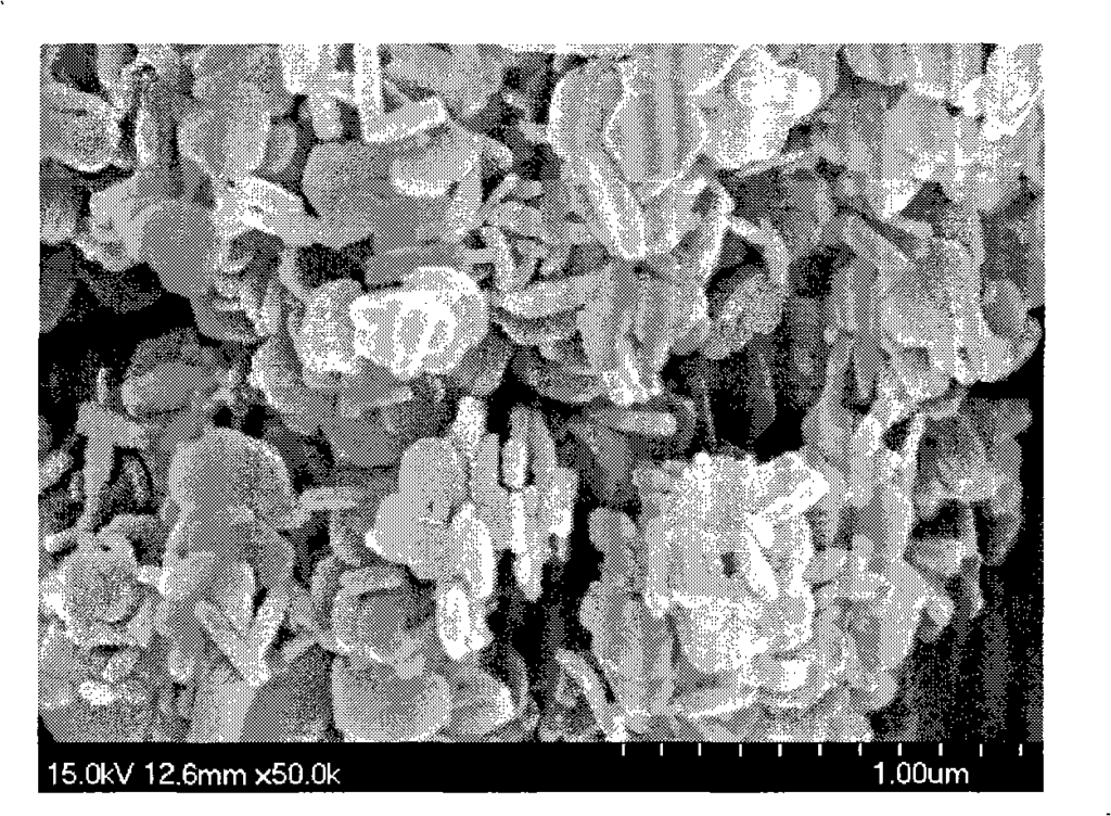 Morphology of magnesium hydroxide particles synthesized in Example 2 (80°C);