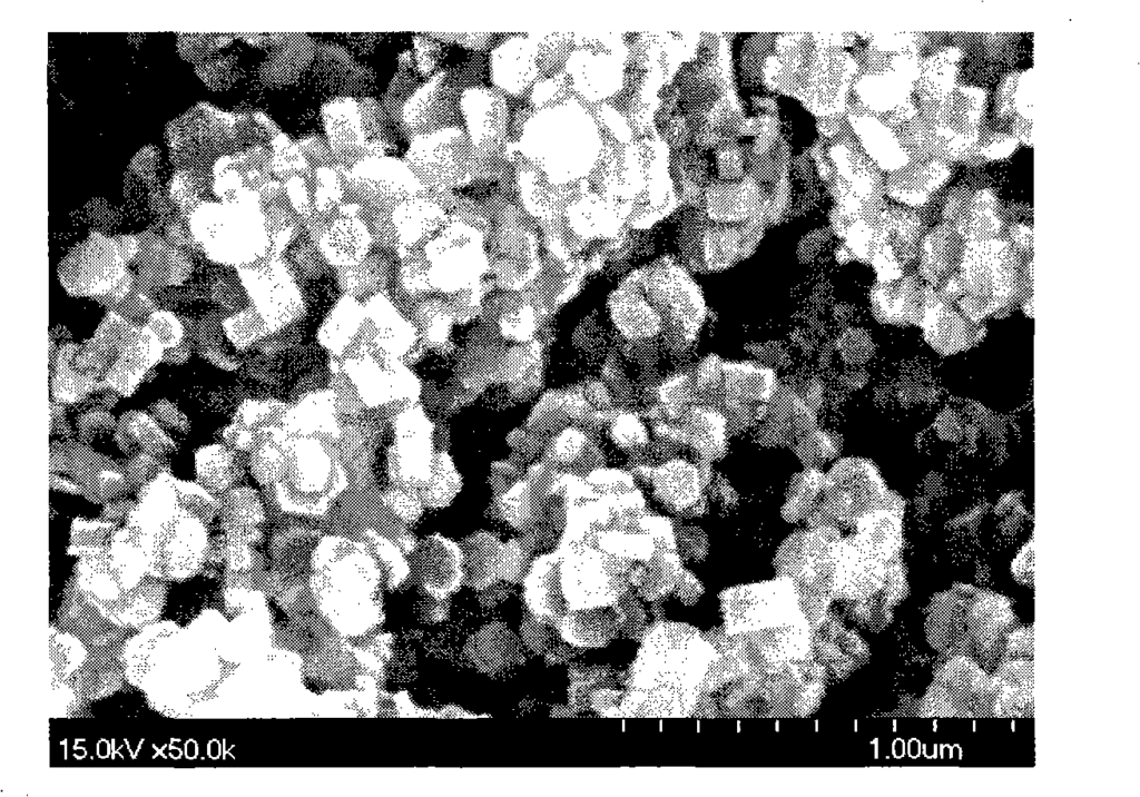 Morphology of magnesium hydroxide particles synthesized in Example 3 (100°C);