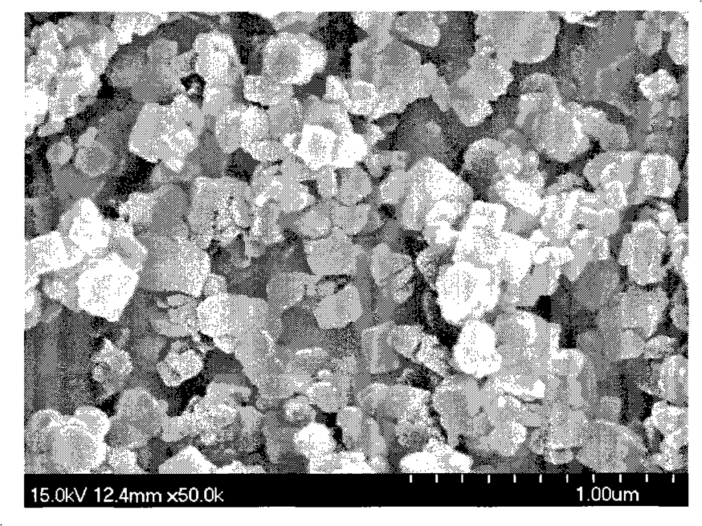 Morphology of magnesium hydroxide particles synthesized in Example 4 (120°C);