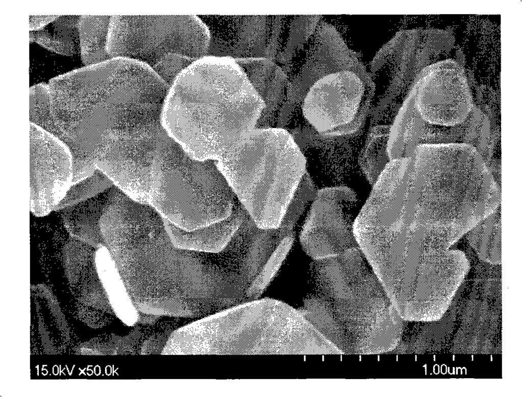 Morphology of magnesium hydroxide particles synthesized in Example 6 (200°C);