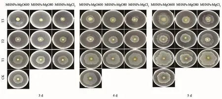 Pathogen growth of mango phoma leaf spot treated with different nano-Mg（OH）2