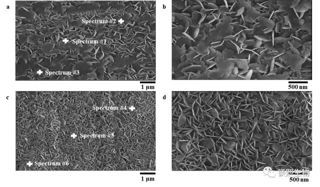 Electron microscope scanning analyzes its phase state