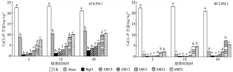 Figure 1 Effect of different amendment on the contents of CaCl2-P in soil at different incubating days