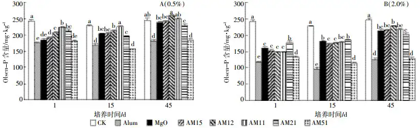 Figure 2 Effect of different amendment on the contents of Olsen-P in soil at different incubating days