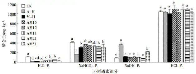 Figure 3 The changes of P fractions in the soils with different amendments addition after 45 d incubation