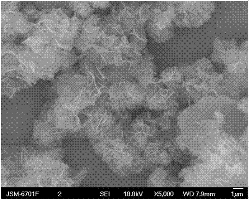 Figure 6 is an SEM electron microscope image of the flower-like magnesium oxide nanostructure material prepared in Example 2.