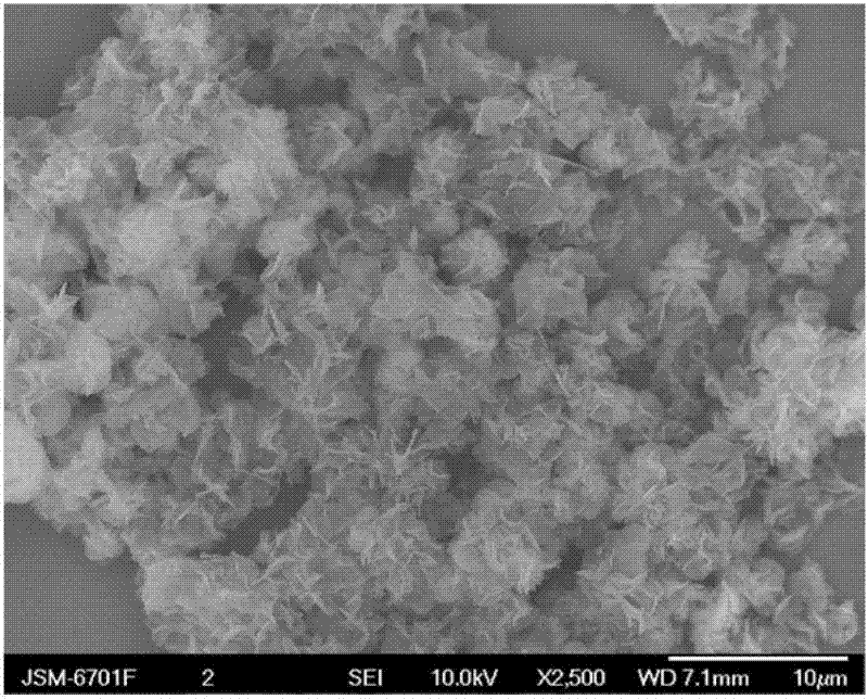 Figure 9 is an SEM electron microscope image of the flower-like magnesium oxide nanostructure material prepared in Example 3.