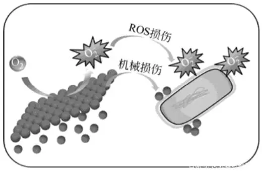 How does nano-magnesium oxide fight bacteria?