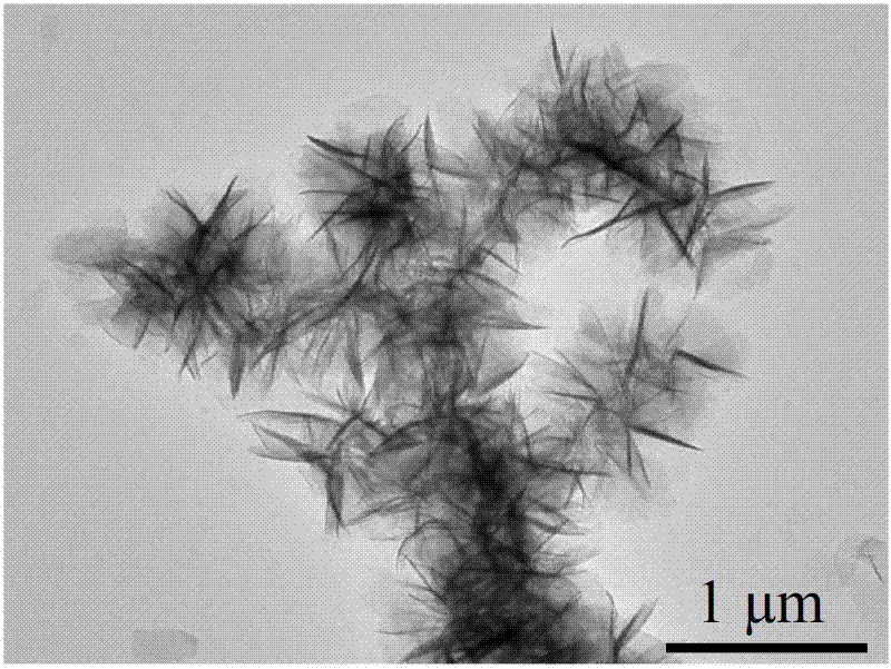 TEM electron microscope image of the flower-like magnesium oxide nanostructure material prepared in Example 1.