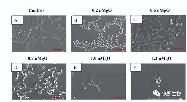 the foaming temperature is related to the viscosity of the precursor mixture sol