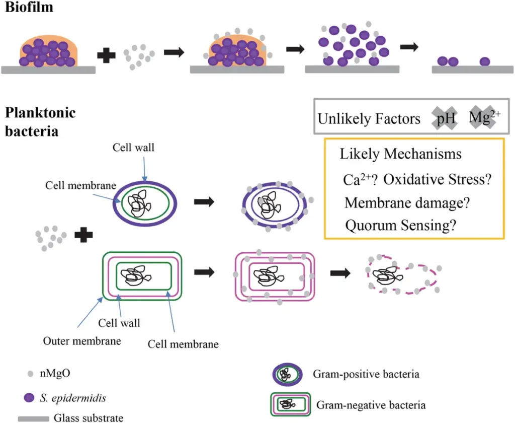 Application of magnesium oxide in fungicide