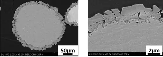 Cross-section of MgO particles with core-shell structure