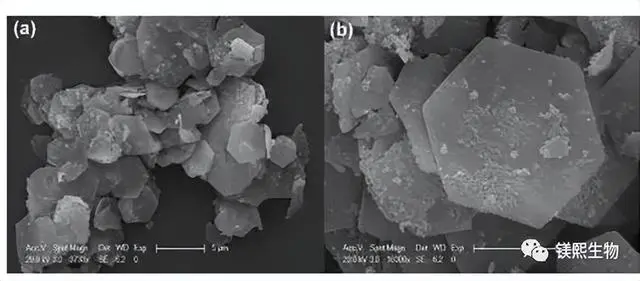 Preparation technology of highly dispersed hexagonal flake magnesium hydroxide