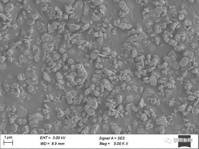 hexagonal magnesium hydroxide