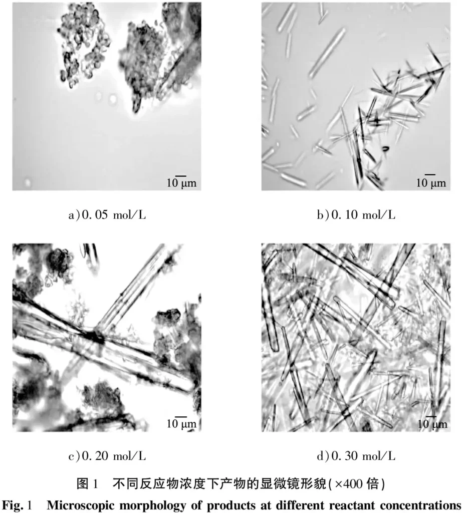 Fig. 1 Microscopic morphology of products at different reactant concentrations