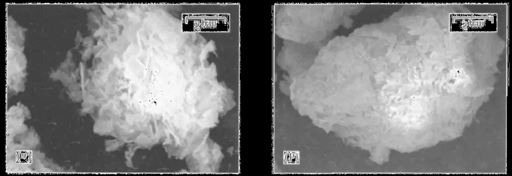 Fig. 1 Morphologies of MgCO3 and coated MgCO3 particles