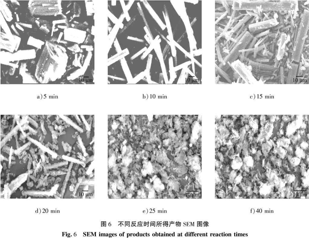 Fig. 6 SEM images of products obtained at different reaction times