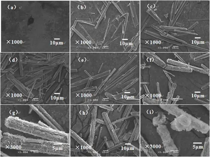 Fig.2 SEM of products prepared at different reactive times