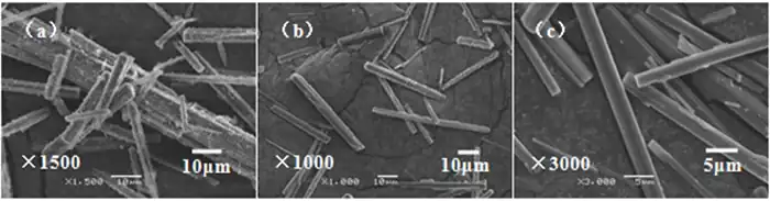 Fig.4 SEM of products prepared at different concentrations of Mg(HCO3)2 solution