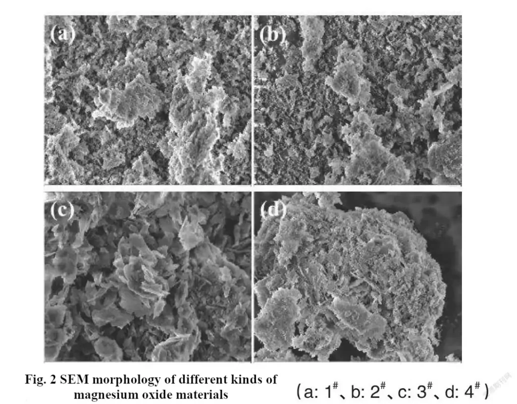 SEM morphology of different kinds of magnesium oxide materials