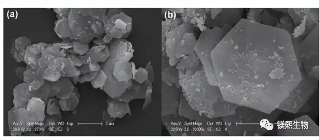 hexagonal flake magnesium hydroxide flame retardant