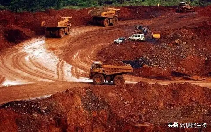 The Role of Magnesium Oxide in Laterite Nickel Ore Processing