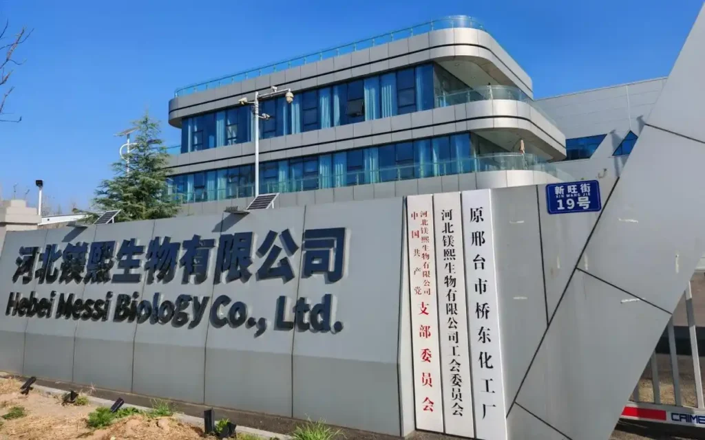 China's Source Factory for Magnesium Oxide China's Source Factory for Magnesium Oxide