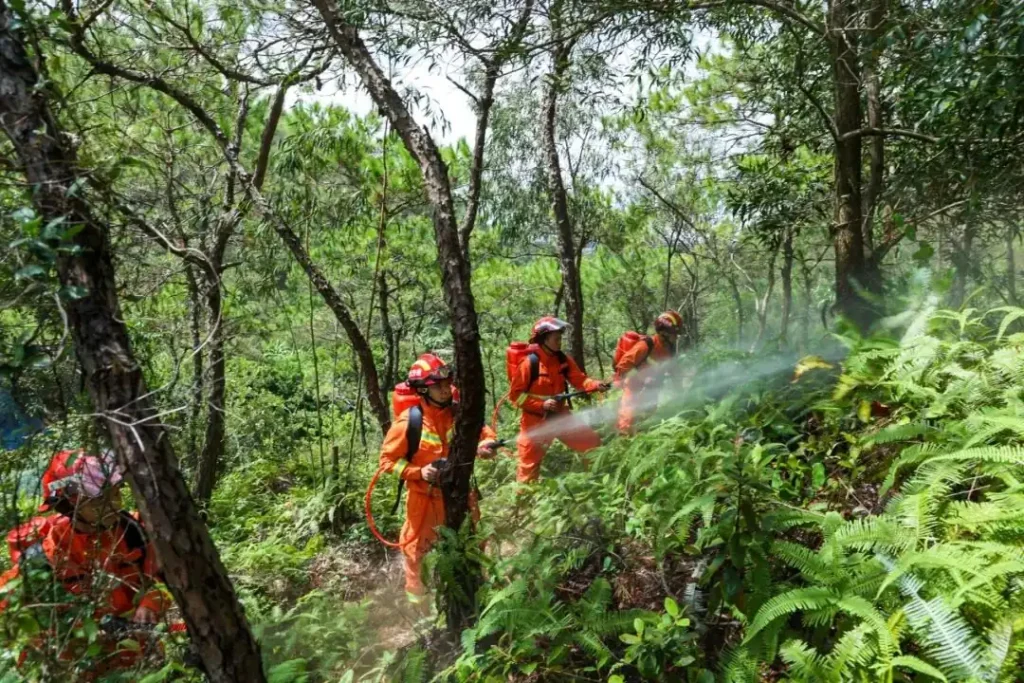 Forest Firefighting Water