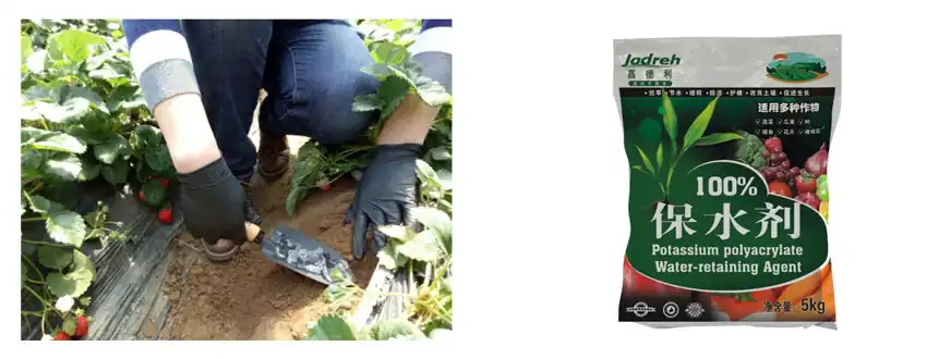 Water-Retaining Agents