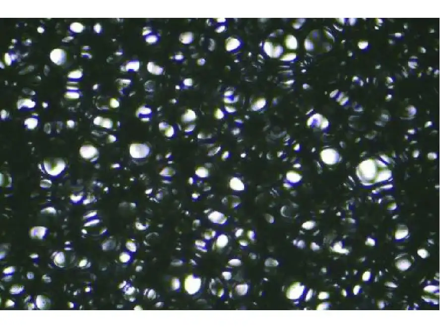 Figure 6 Cross-sectional SEM image of phenolic resin foam Figure 6 Cross-sectional SEM image of phenolic resin foam