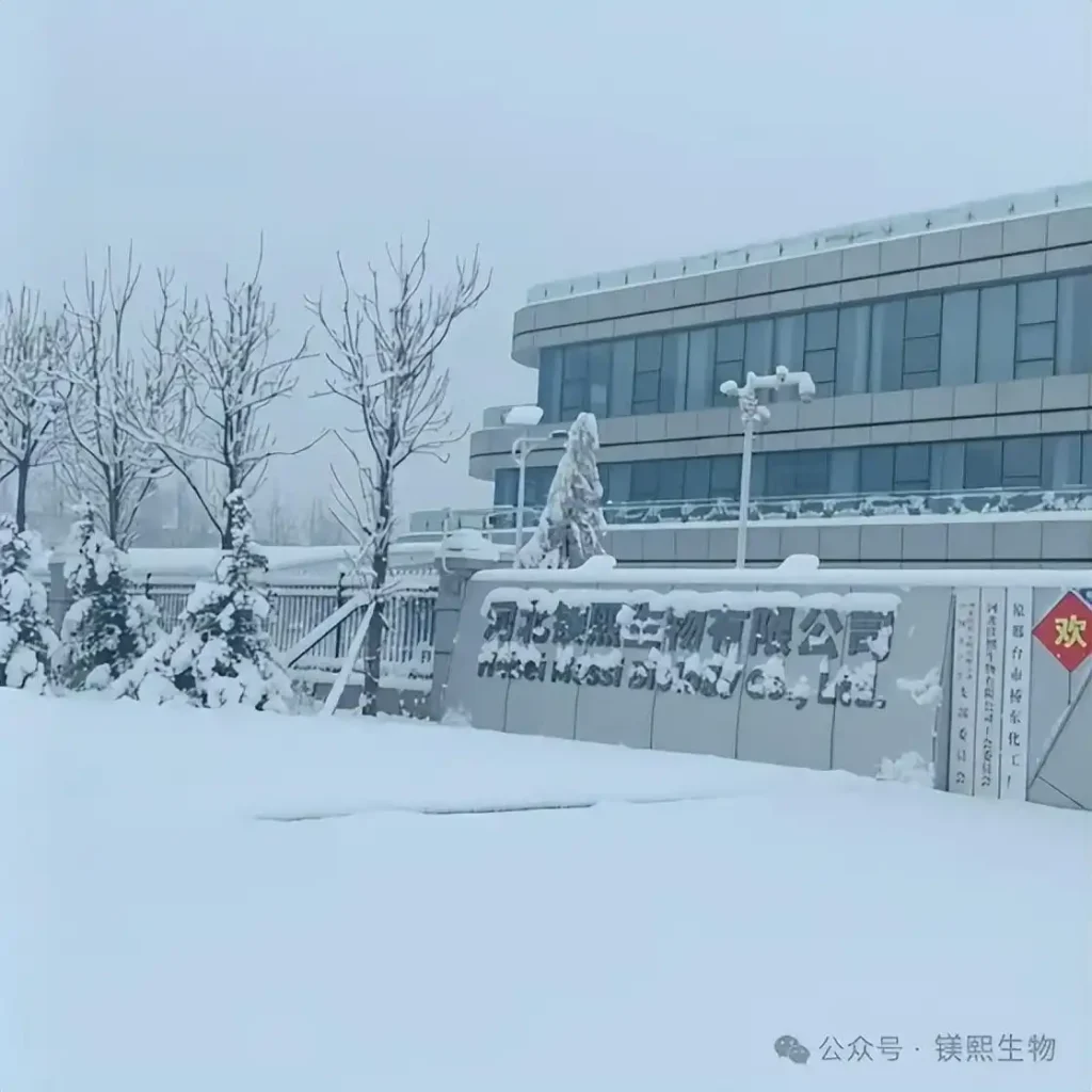 Messi Biology Greets First Snowfall of 2026 02