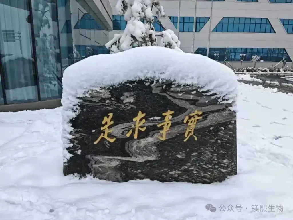 Messi Biology Greets First Snowfall of 2026 03