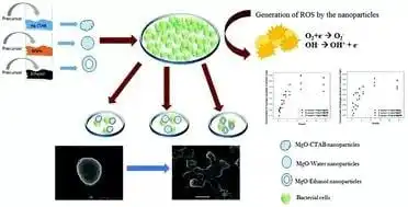 MgO easily hydrates in aqueous solutions to form Mg(OH)2