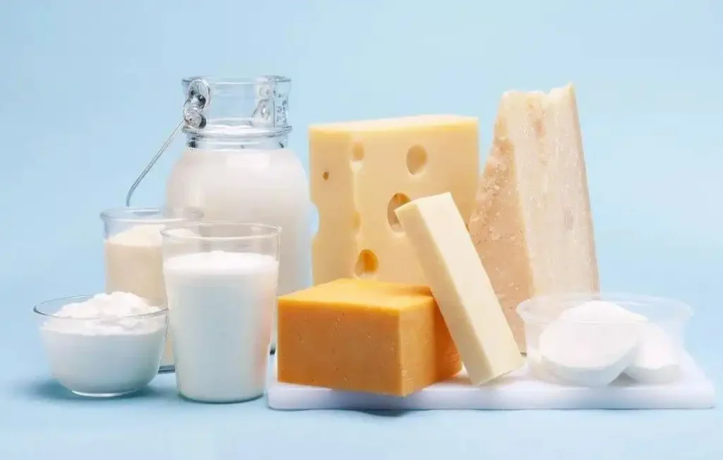 Dairy Fermentation